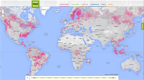 New online tool tracks tree loss in 'near real time' 